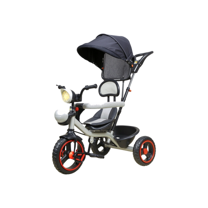 R9 500 Tricycle