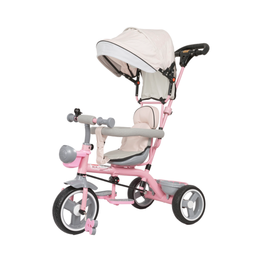 TFT 500 Tricycle