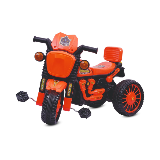 Cruiser Tricycle