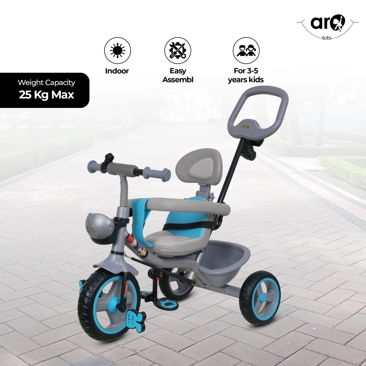 R1 Tricycle